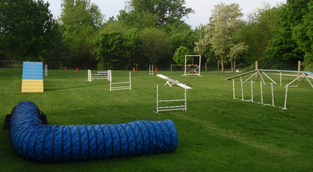 Full Agility Course for Dogs | County Line K9